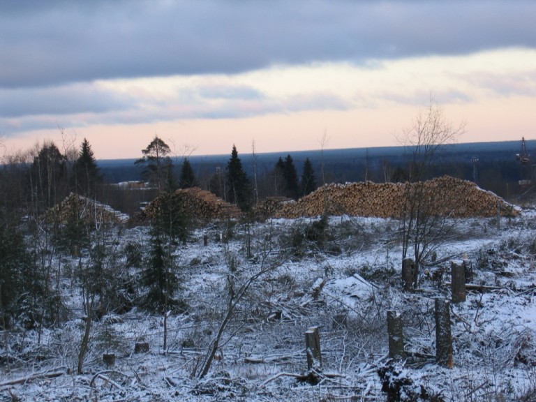saw mill MMHS