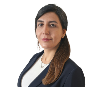Suri Nejad, MSc. - Consultant