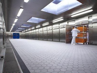 Pig slaughter house