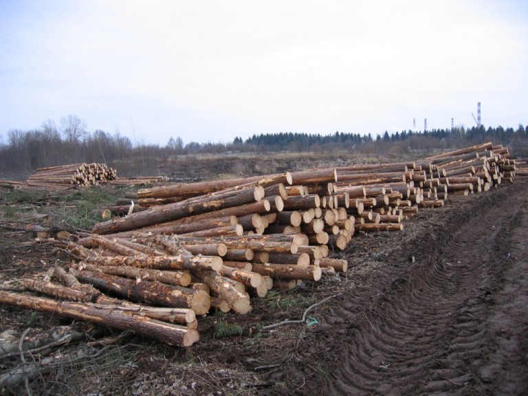 saw mill MMHS